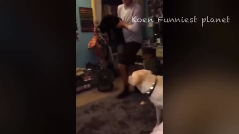 Korean, animals funny videos collation.🤣🤣🤣🤣🤣🤣🤣