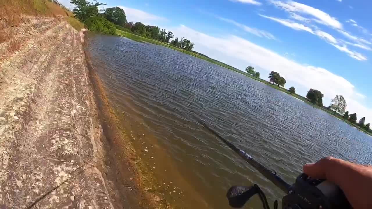 Bass fishing lake fork tx