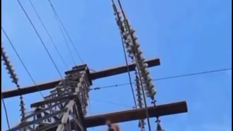 Playing On High Voltage Lines