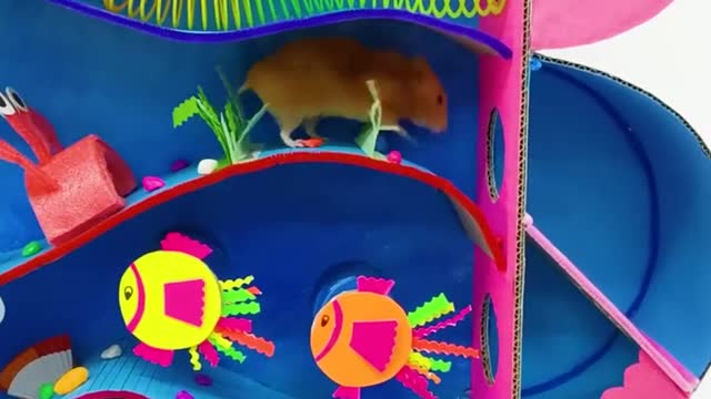 Hamster funny house