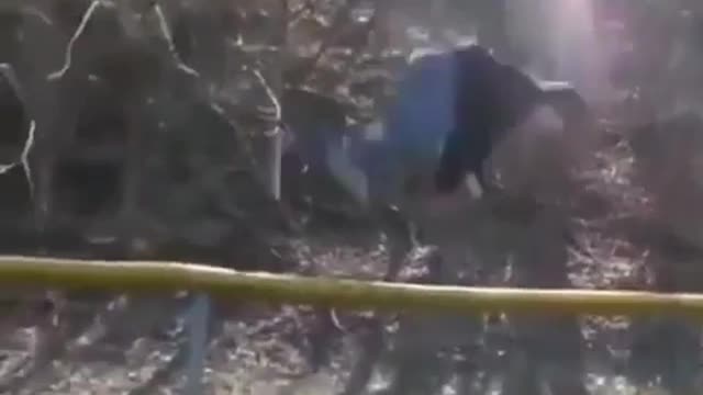 That's what could have gone wrong?!