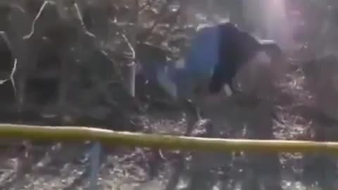 That's what could have gone wrong?!