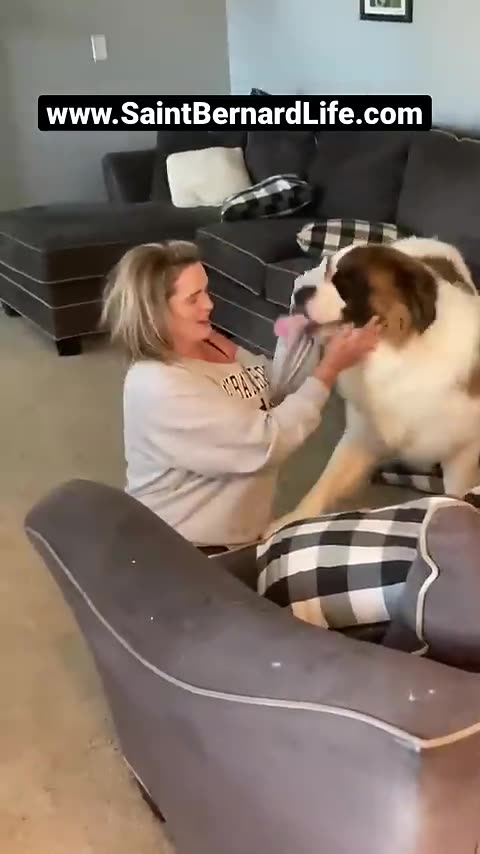 Cutemoments. _cutedog