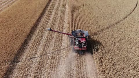 Empty grain cart back to combine