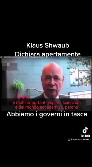 Testa di Uovo Shwab