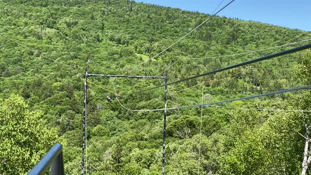 Ziptrek 19 June 22