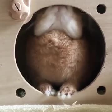 yummy yummy my house is so tasty