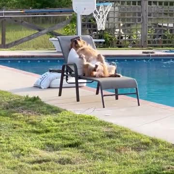 😂😂😂😂😂😂😂😂😂