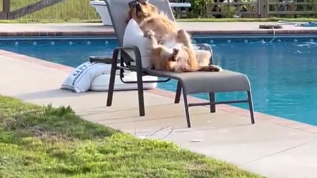 😂😂😂😂😂😂😂😂😂