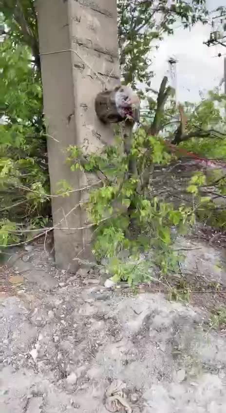 Ukrajinští vojáci podminovávají mosty u Slavjansku, aby jejich kolegové nemohli z města ustoupit