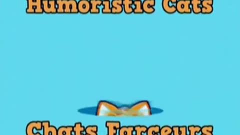 Humoristic Cats 😹 Chats Farceurs - n°293 #Shorts