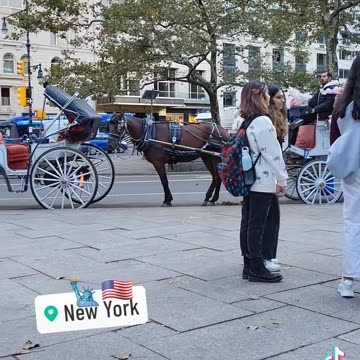 Central Park New York USA