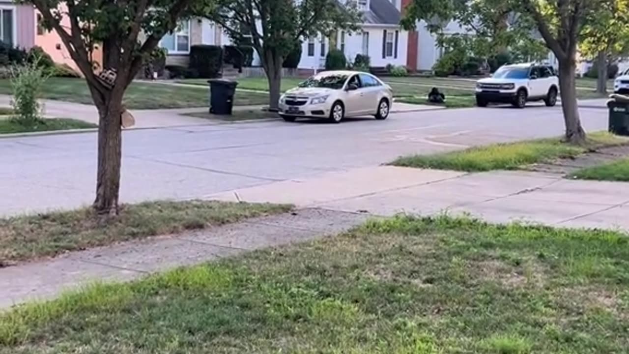 8 year old drives