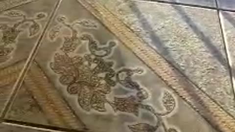 Simba brincando com o lapis