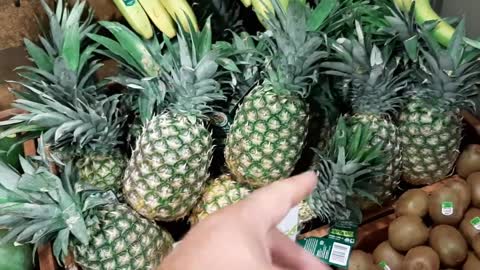 164 - NO PINEAPPLES EVER!! (Backup)