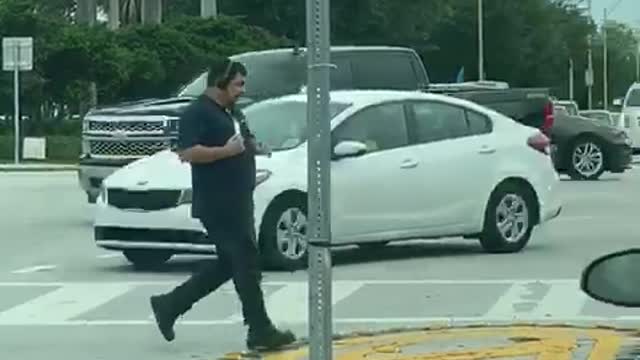 Truck Driver Helps Elderly Woman Cross the Street