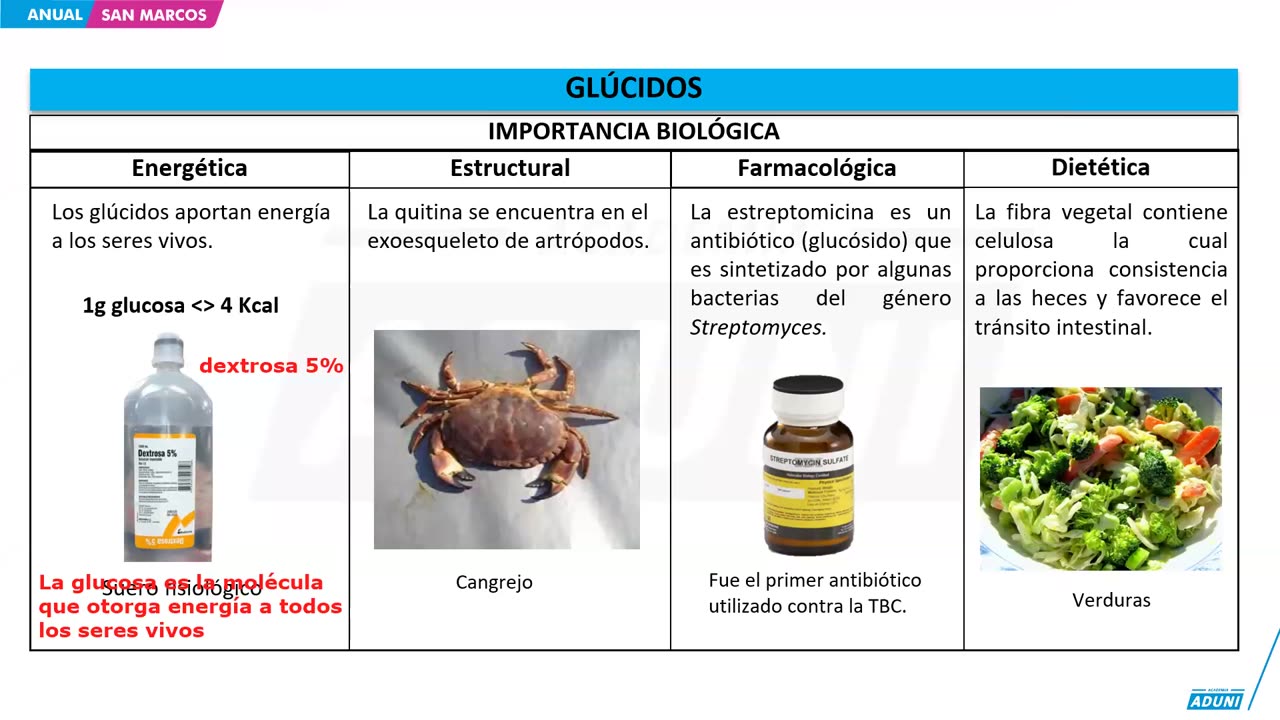 ANUAL ADUNI 2024 | Semana 02 | Trigonometría | RM | Biología