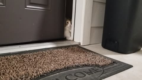 20240830 210444 Khaleesi Being Shy