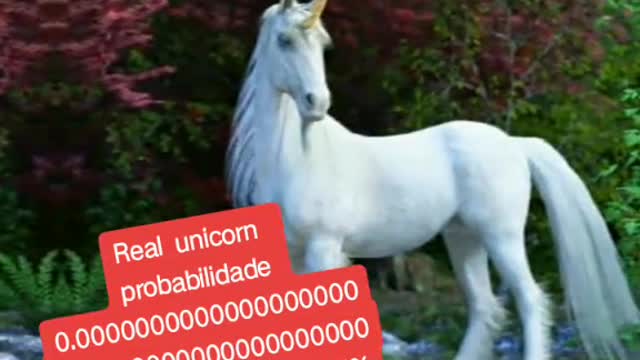 The real unicorn 🐎