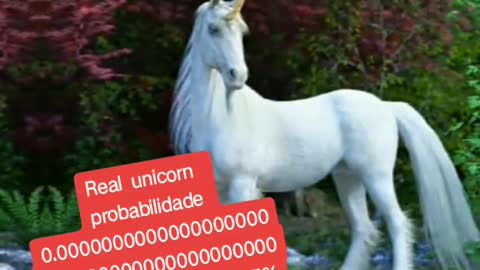 The real unicorn 🐎