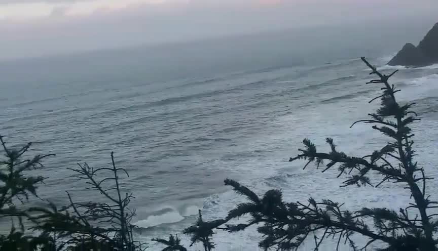 Sea Lion caves across from Heceta Lighthouse Oregon Coast