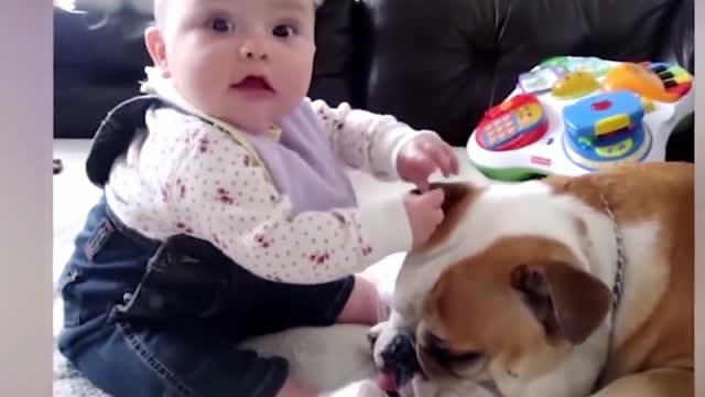 Dogs are the best friend of Babies 51