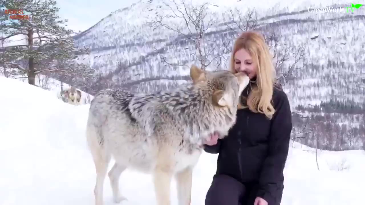 White Woman Making Out With Wolf
