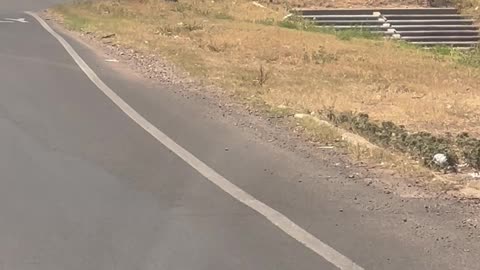 Driver Takes Off When Man Tries to Break Truck Window