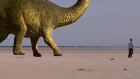 #dinosaur #facts #viral #video