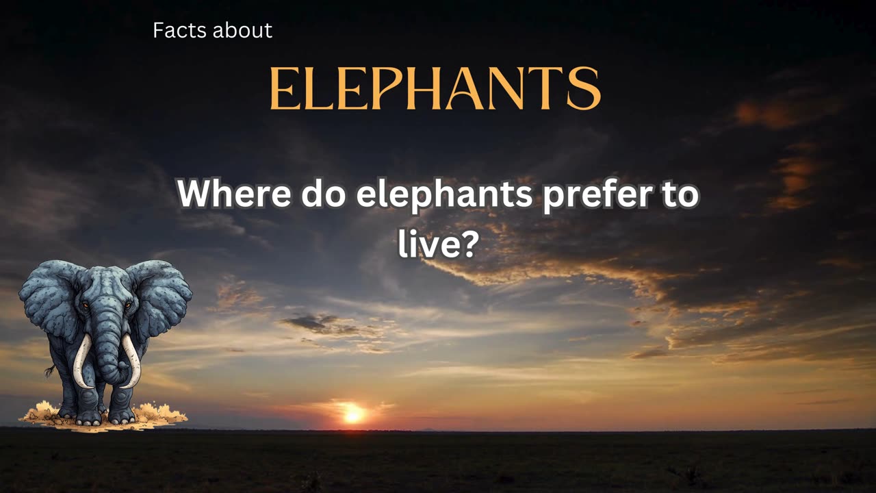 Elephant Fact 3 - Where do elephants prefer to live?