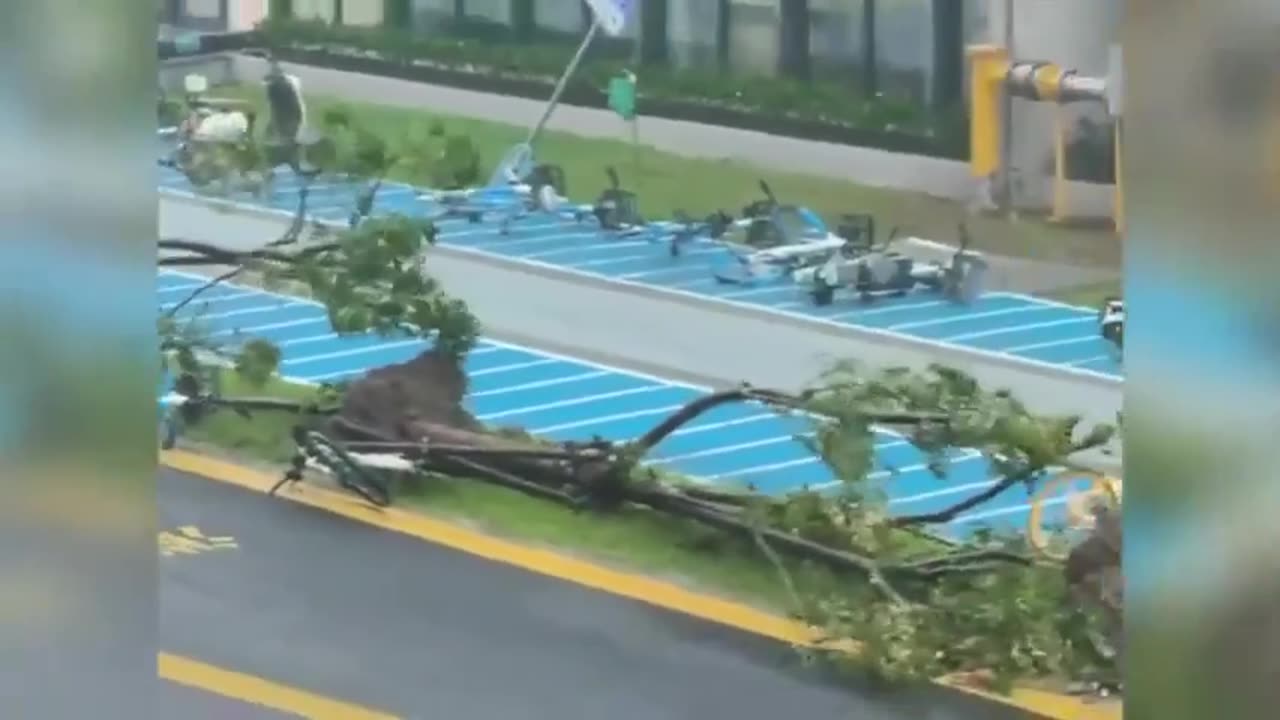 Shanghai Typhoon