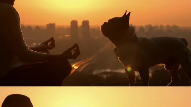 Woman meditating with her dog in the sunset