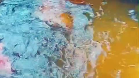 Hot Asian Girls Bathing