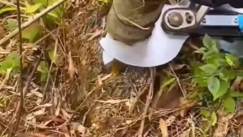 latest innovation from china