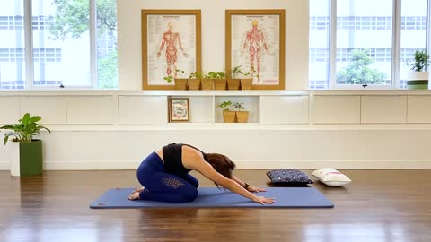 Pregnancy Beginner - Pilates Matwork