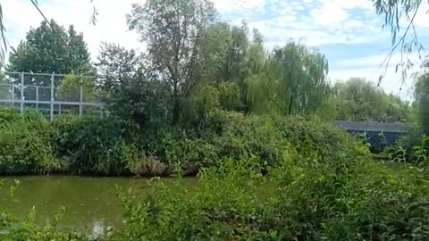 Beautiful scenery like spring