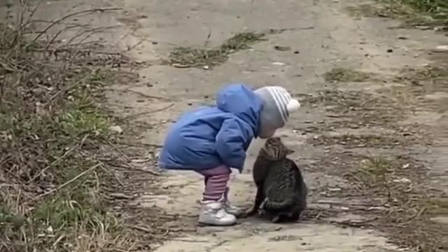 little baby and cute cat