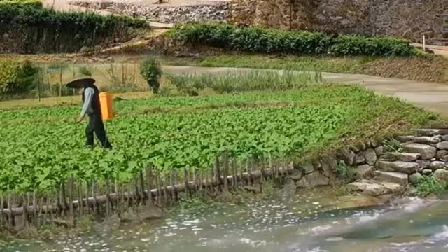 Beautiful Nature -Living with beautiful Nature.