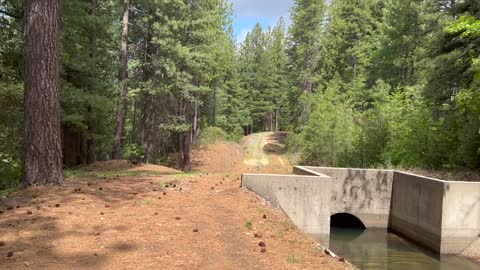 NID Ditch Canal