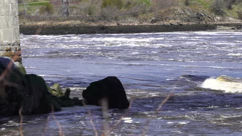 World Wonder In NB Canada Reversing Falls High Tide vs Low Tide. Highest Tides In The World