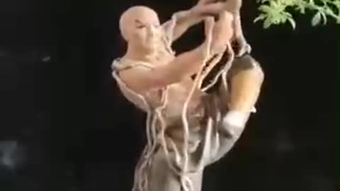 Creative bonsai making