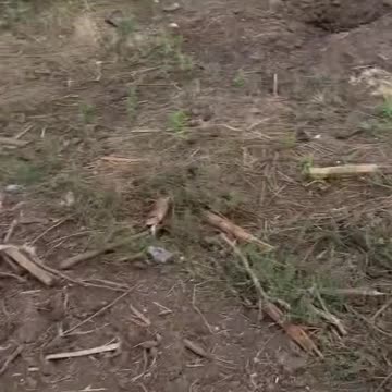 Arrivals of Russian air bombs on Ukrainian positions in the Zaporozhye direction