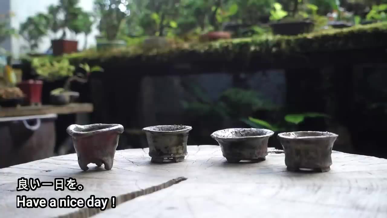Bonsai Art #10