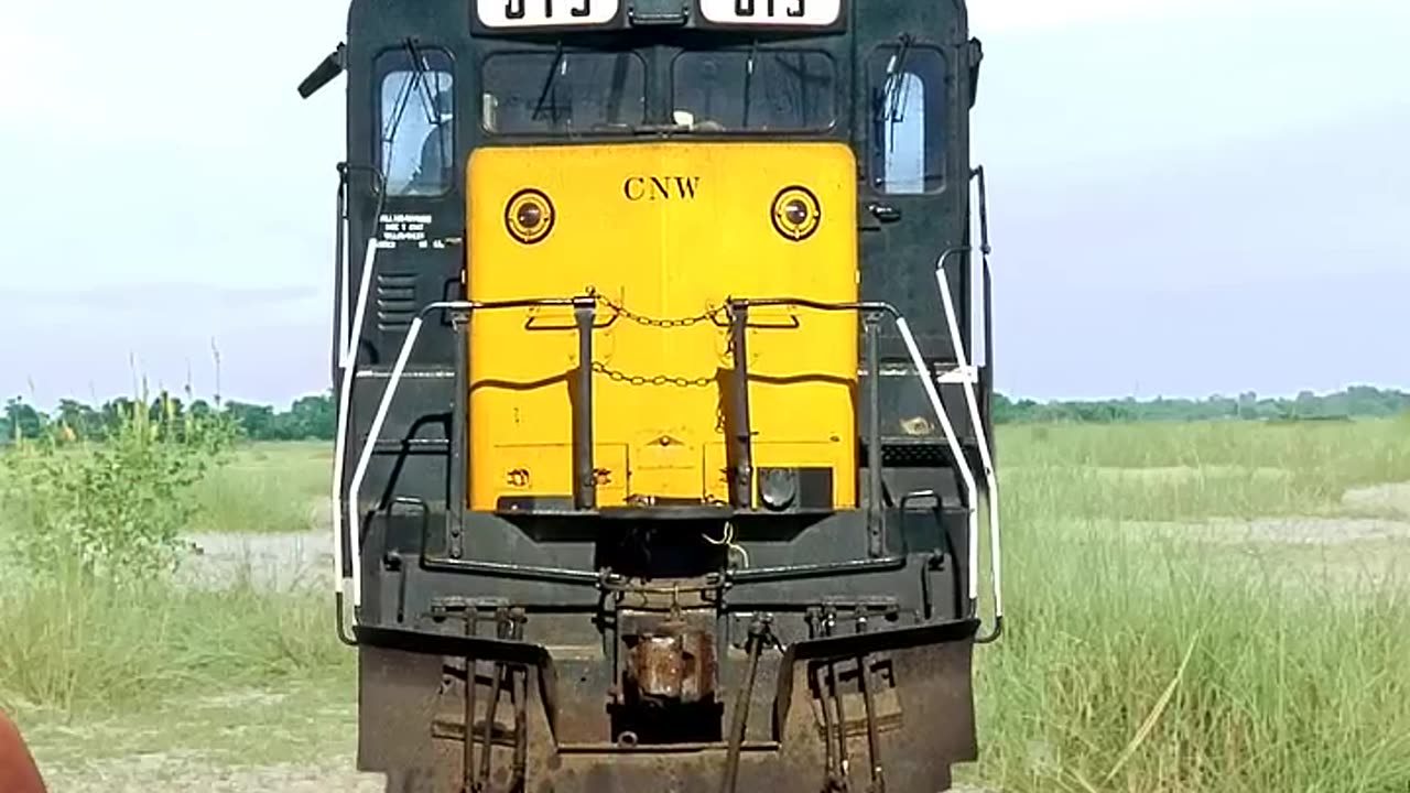 Elephant,cat,dog,fox, crying baby & toy car vs high speed train - funny vfx video