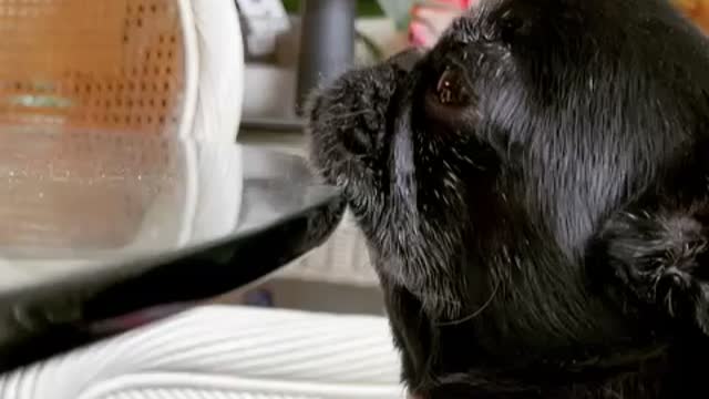 Resting my chin