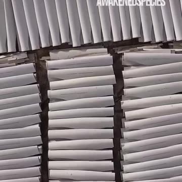 Thinking that country can run on breezes is worse than delusional