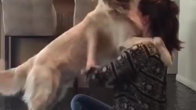 Cute Dogs getting a hug by their owners animals, Feeling Lovely