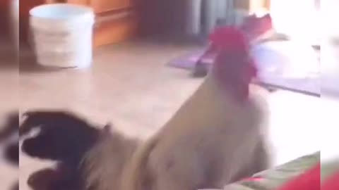 It’s time to get up