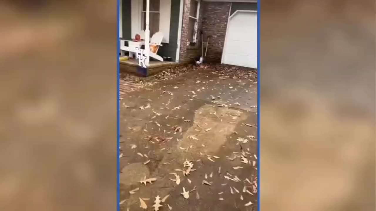 so funny video