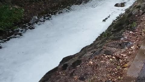 PILIS - eső után habzik az ország (2024.09.09)